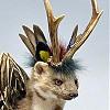 Wolpertinger